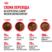 Сухой корм Royal Canin Medium Dermacomfort для взрослых средних пород 3 кг
